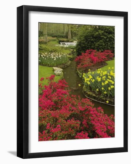 Azalea and daffodil garden, Keukenhof Gardens, Lisse, Netherlands, Holland-Adam Jones-Framed Photographic Print