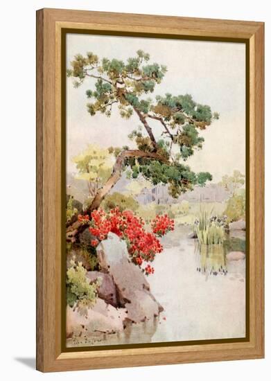 Azalea and Pine-Tree-Ella Du Cane-Framed Premier Image Canvas