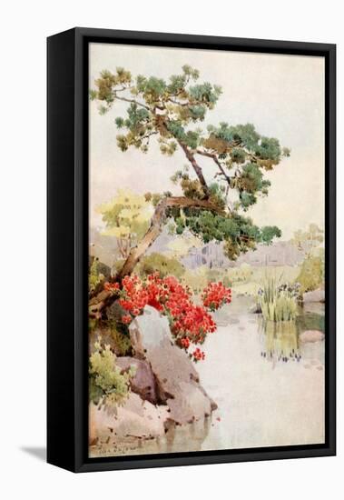 Azalea and Pine-Tree-Ella Du Cane-Framed Premier Image Canvas