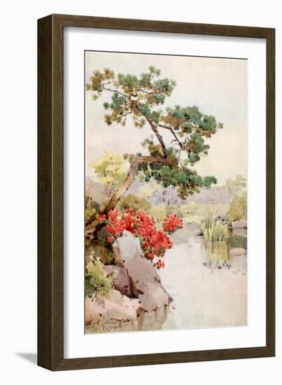 Azalea and Pine-Tree-Ella Du Cane-Framed Giclee Print