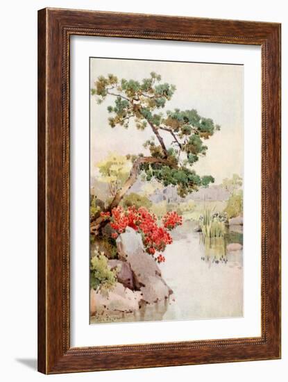 Azalea and Pine-Tree-Ella Du Cane-Framed Giclee Print