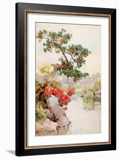 Azalea and Pine-Tree-Ella Du Cane-Framed Giclee Print