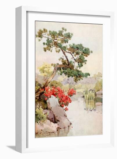 Azalea and Pine-Tree-Ella Du Cane-Framed Giclee Print