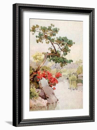 Azalea and Pine-Tree-Ella Du Cane-Framed Giclee Print