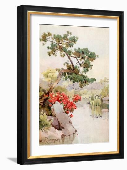Azalea and Pine-Tree-Ella Du Cane-Framed Giclee Print
