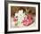 Azalea Bloom, C.1865-74-Helen Cordelia Coleman Angell-Framed Giclee Print