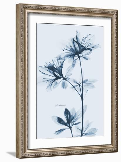 Azalea  Blues-Albert Koetsier-Framed Art Print