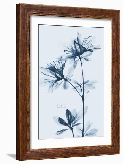 Azalea  Blues-Albert Koetsier-Framed Art Print