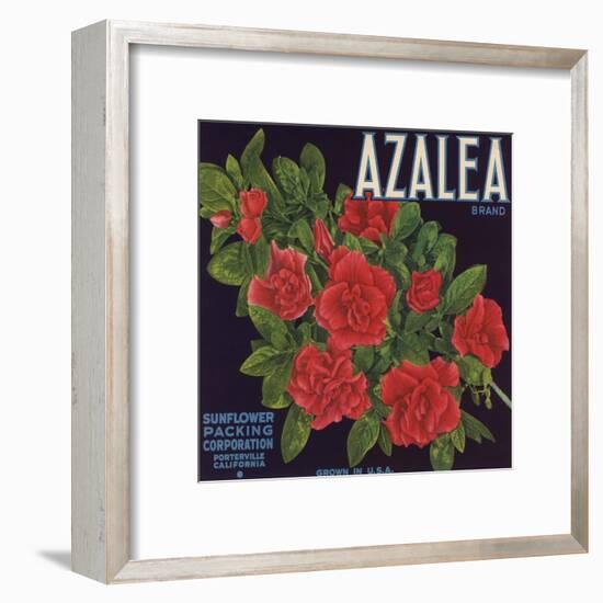 Azalea Brand - Porterville, California - Citrus Crate Label-Lantern Press-Framed Art Print