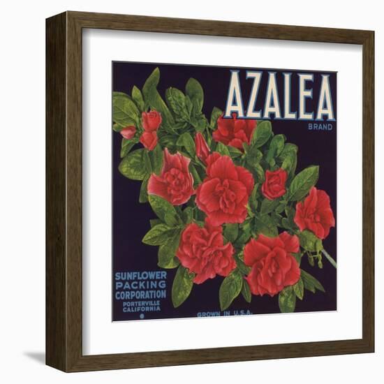 Azalea Brand - Porterville, California - Citrus Crate Label-Lantern Press-Framed Art Print