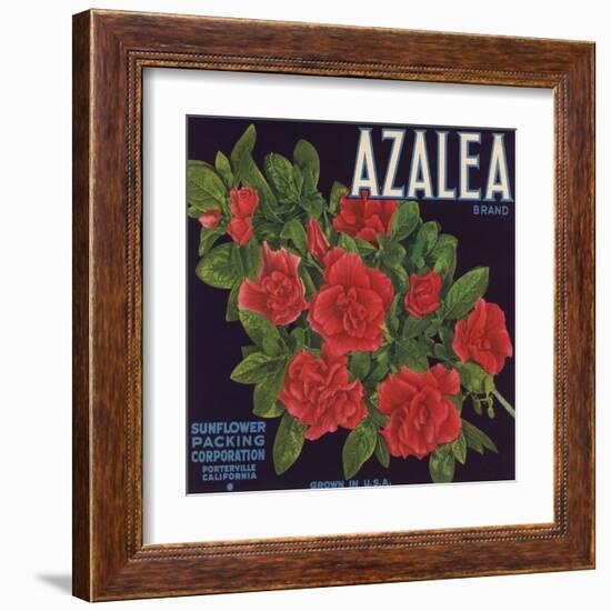 Azalea Brand - Porterville, California - Citrus Crate Label-Lantern Press-Framed Art Print