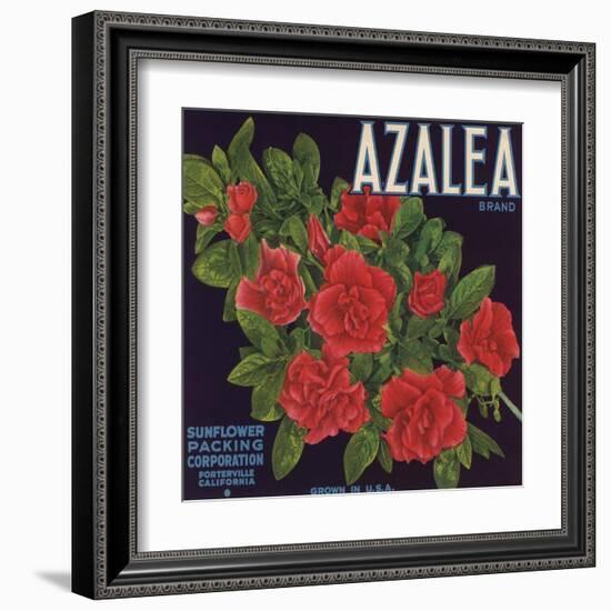 Azalea Brand - Porterville, California - Citrus Crate Label-Lantern Press-Framed Art Print