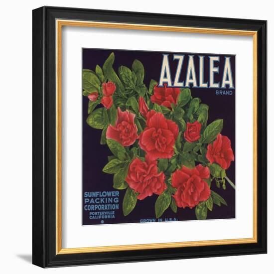 Azalea Brand - Porterville, California - Citrus Crate Label-Lantern Press-Framed Art Print