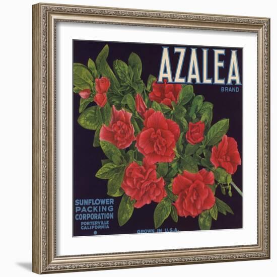 Azalea Brand - Porterville, California - Citrus Crate Label-Lantern Press-Framed Art Print