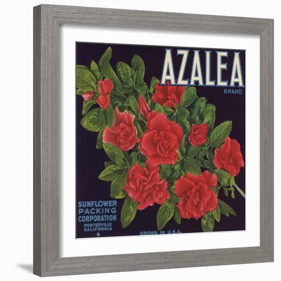 Azalea Brand - Porterville, California - Citrus Crate Label-Lantern Press-Framed Art Print