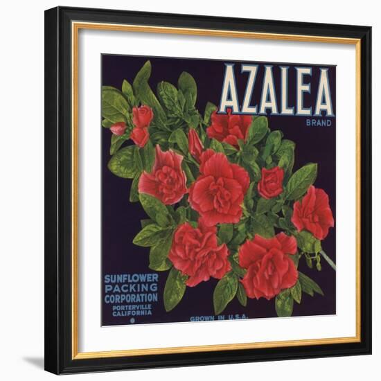 Azalea Brand - Porterville, California - Citrus Crate Label-Lantern Press-Framed Art Print