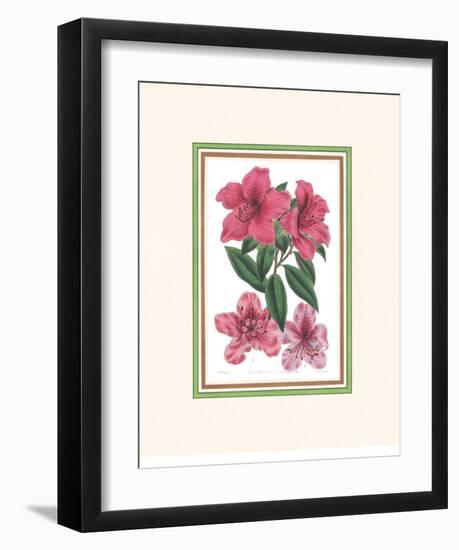 Azalea I-null-Framed Art Print