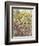 Azalea II-Tim O'toole-Framed Giclee Print