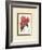 Azalea III-null-Framed Art Print