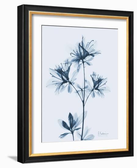 Azalea in Blue II-Albert Koetsier-Framed Art Print