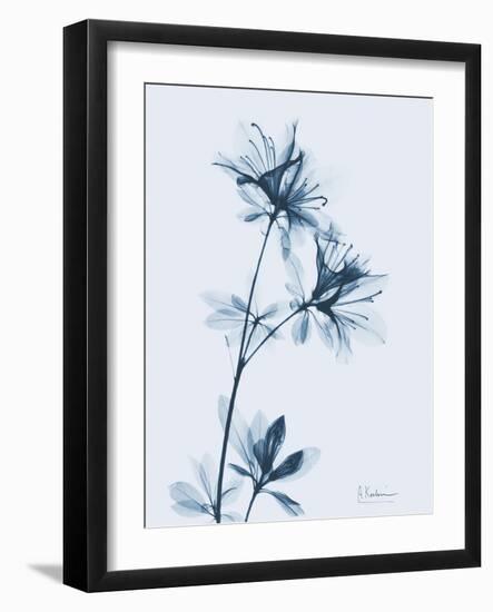 Azalea in Blue-Albert Koetsier-Framed Art Print