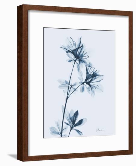 Azalea in Blue-Albert Koetsier-Framed Art Print