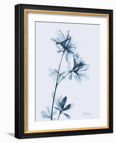 Azalea in Blue-Albert Koetsier-Framed Art Print