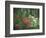 Azalea Reflection in Pond, Georgia, USA-Nancy Rotenberg-Framed Photographic Print