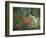 Azalea Reflection in Pond, Georgia, USA-Nancy Rotenberg-Framed Photographic Print