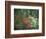 Azalea Reflection in Pond, Georgia, USA-Nancy Rotenberg-Framed Photographic Print