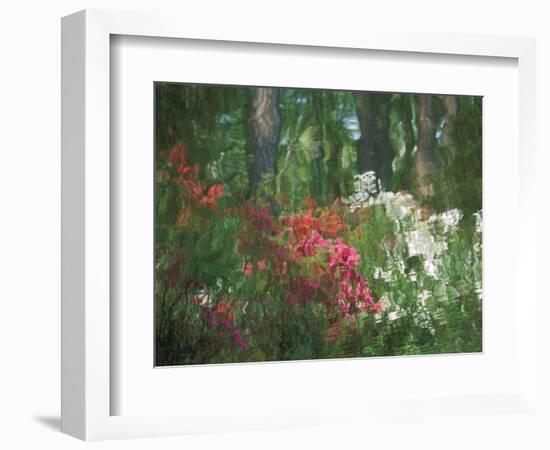 Azalea Reflection in Pond, Georgia, USA-Nancy Rotenberg-Framed Photographic Print