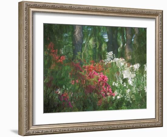 Azalea Reflection in Pond, Georgia, USA-Nancy Rotenberg-Framed Photographic Print