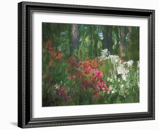 Azalea Reflection in Pond, Georgia, USA-Nancy Rotenberg-Framed Photographic Print