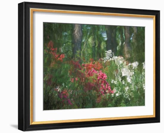 Azalea Reflection in Pond, Georgia, USA-Nancy Rotenberg-Framed Photographic Print