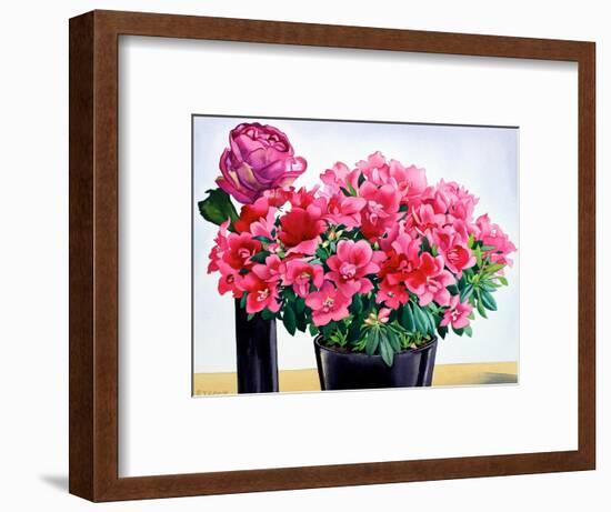 Azalea Rose-Christopher Ryland-Framed Giclee Print