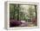 Azalea Way, Botanical Gardens, Bronx, NY-Lauree Feldman-Framed Premier Image Canvas