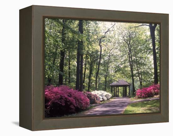 Azalea Way, Botanical Gardens, Bronx, NY-Lauree Feldman-Framed Premier Image Canvas