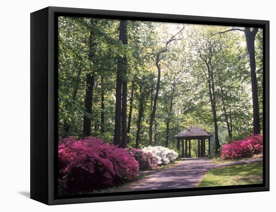 Azalea Way, Botanical Gardens, Bronx, NY-Lauree Feldman-Framed Premier Image Canvas