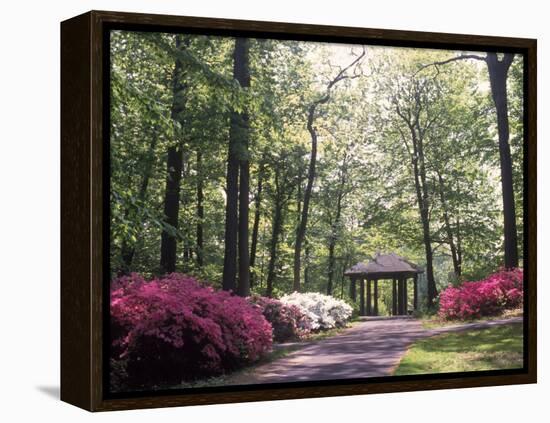 Azalea Way, Botanical Gardens, Bronx, NY-Lauree Feldman-Framed Premier Image Canvas