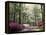 Azalea Way, Botanical Gardens, Bronx, NY-Lauree Feldman-Framed Premier Image Canvas