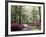 Azalea Way, Botanical Gardens, Bronx, NY-Lauree Feldman-Framed Photographic Print