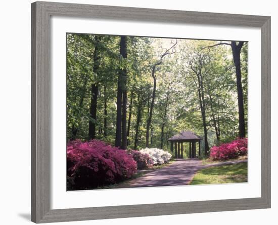 Azalea Way, Botanical Gardens, Bronx, NY-Lauree Feldman-Framed Photographic Print