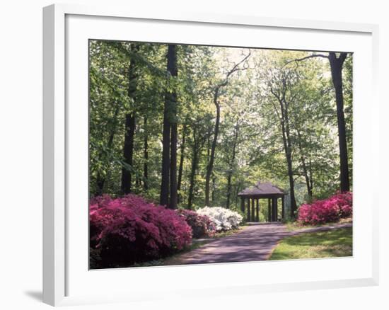 Azalea Way, Botanical Gardens, Bronx, NY-Lauree Feldman-Framed Photographic Print