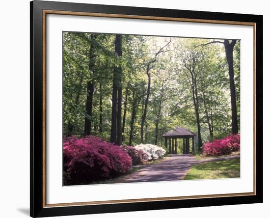 Azalea Way, Botanical Gardens, Bronx, NY-Lauree Feldman-Framed Photographic Print