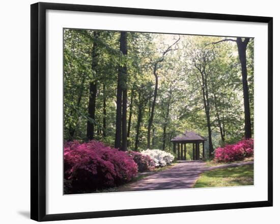 Azalea Way, Botanical Gardens, Bronx, NY-Lauree Feldman-Framed Photographic Print