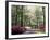 Azalea Way, Botanical Gardens, Bronx, NY-Lauree Feldman-Framed Photographic Print