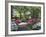 Azalea Way, Botanical Gardens, Bronx, NY-Lauree Feldman-Framed Photographic Print