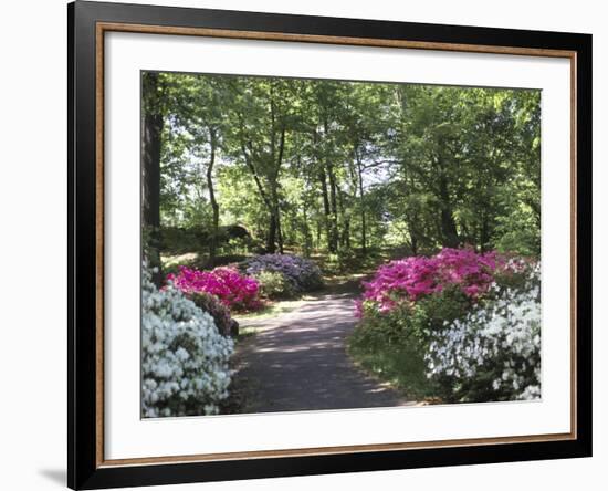 Azalea Way, Botanical Gardens, Bronx, NY-Lauree Feldman-Framed Photographic Print