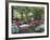 Azalea Way, Botanical Gardens, Bronx, NY-Lauree Feldman-Framed Photographic Print