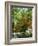 Azalea Way, Botanical Gardens, Bronx, NY-Lauree Feldman-Framed Photographic Print